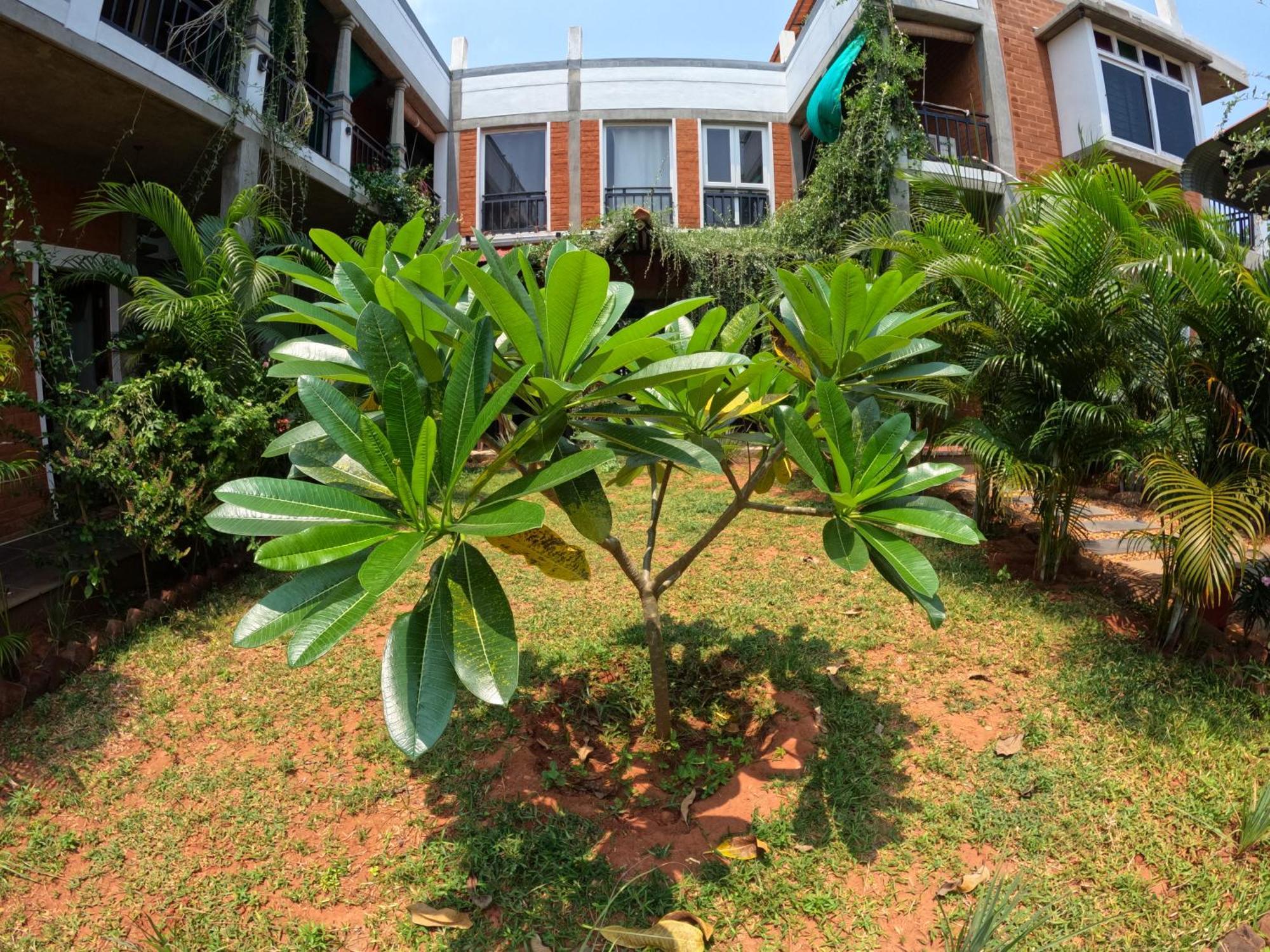 Wow Farm House Auroville Luaran gambar